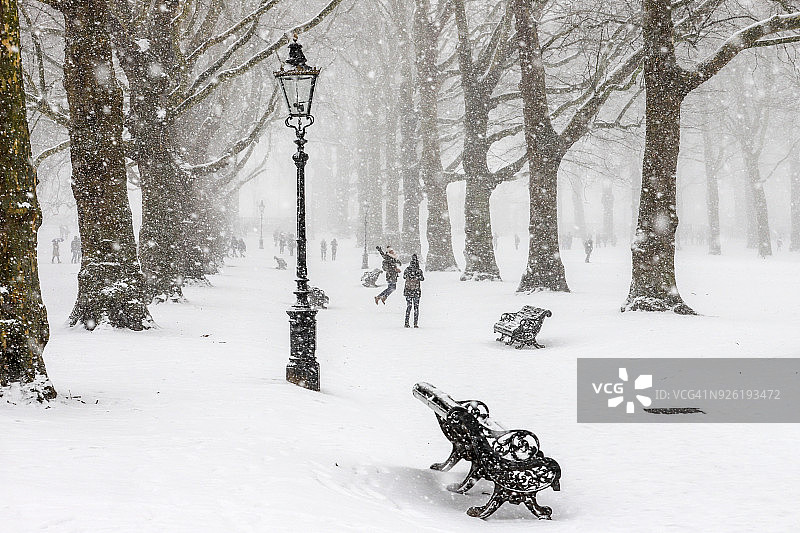 雪中的伦敦格林公园图片素材