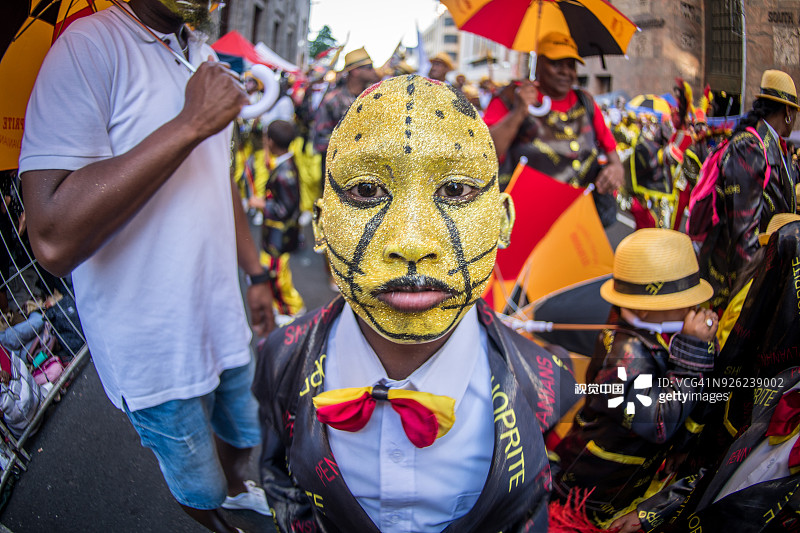 可爱的猫图片素材