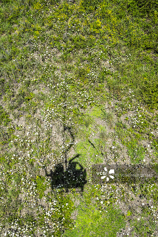 夏季山间缆车影子图片素材