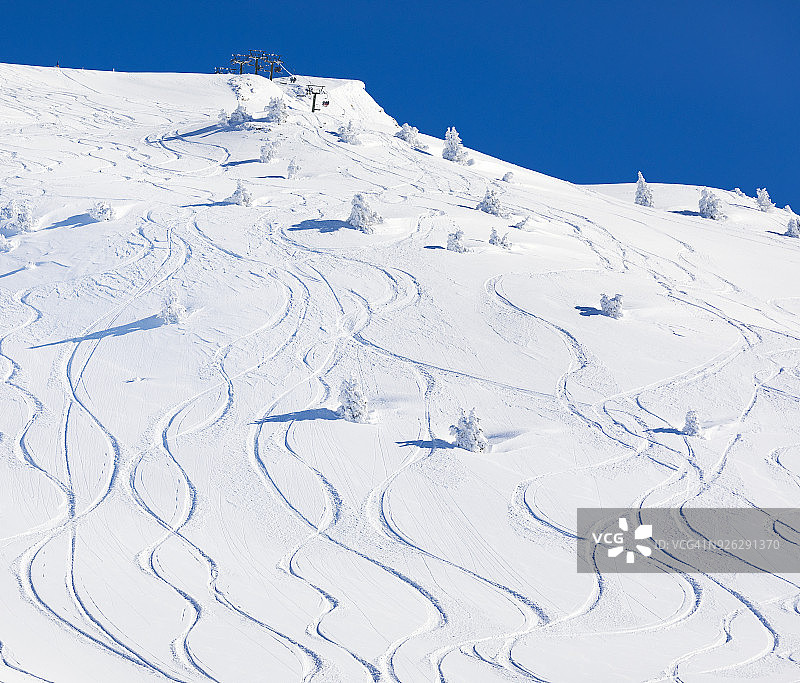 粉雪上的滑雪痕迹图片素材