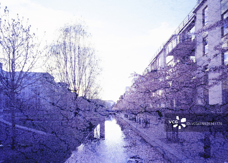 公寓楼附近的运河图片素材