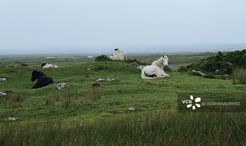 康尼马拉朗德斯通的埃里斯贝格山图片素材