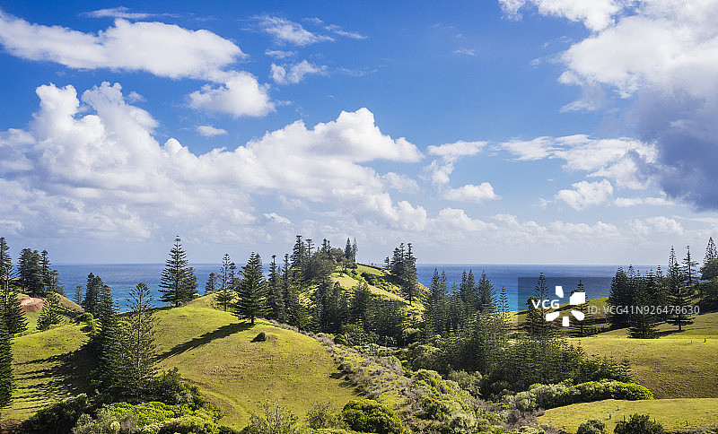 诺福克岛的松树山丘图片素材