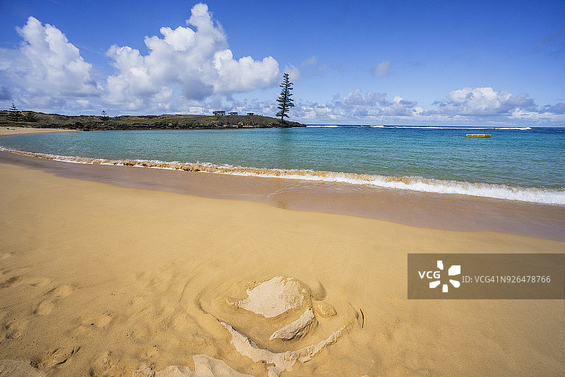 诺福克岛艾米丽海滩海龟沙雕图片素材