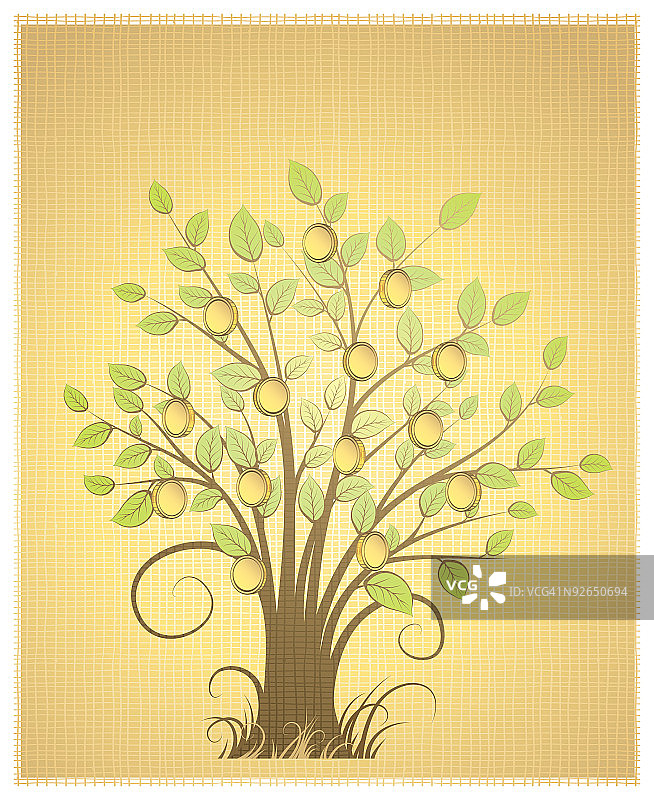 金钱树图片素材