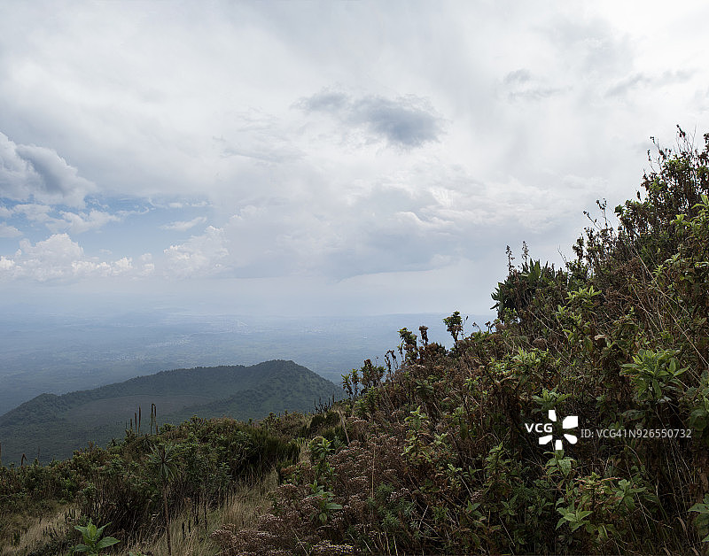 尼拉贡戈火山上的植被图片素材