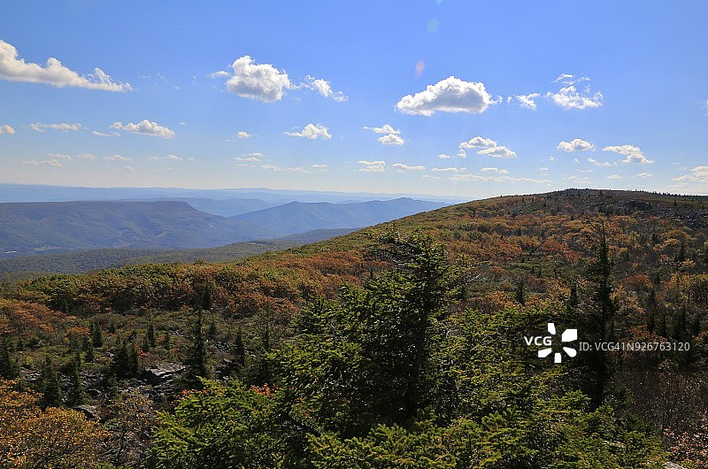 西弗吉尼亚州多莉索兹荒原的草地图片素材
