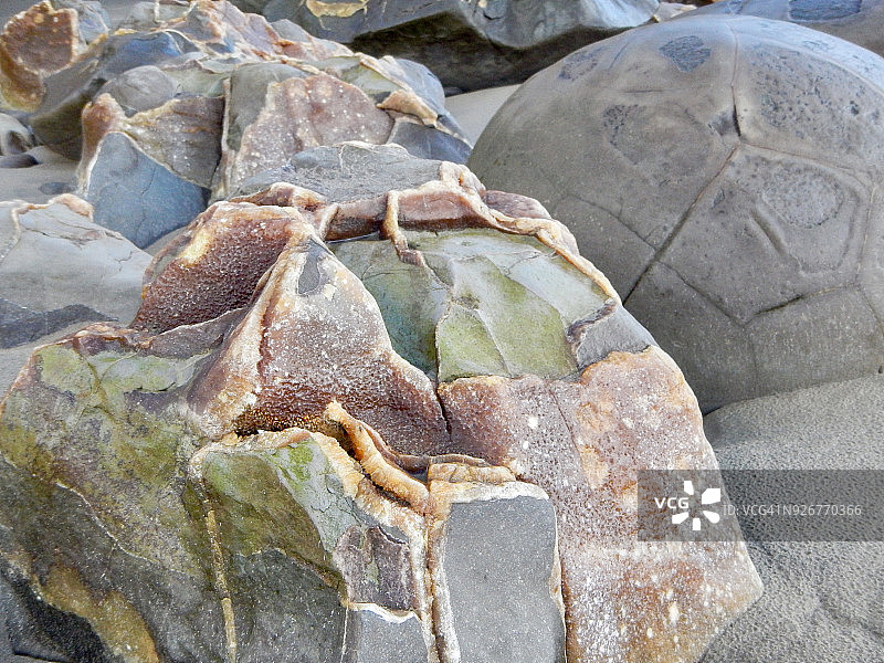 新西兰莫拉基巨石剖面特写图片素材