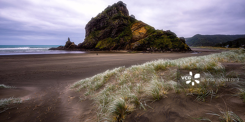 新西兰皮哈图片素材