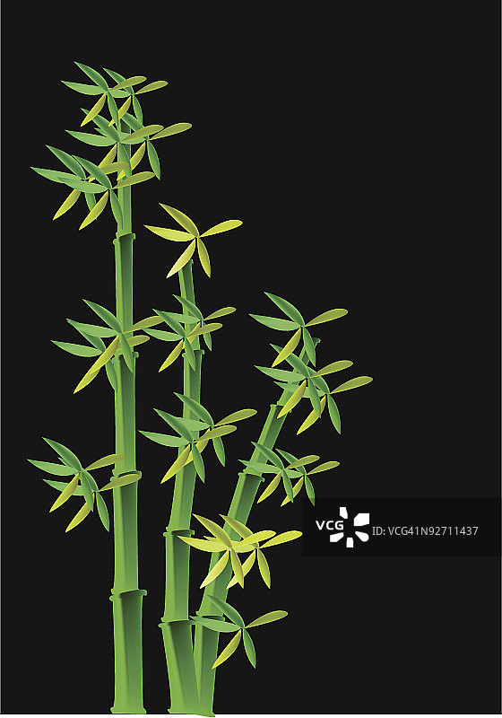 竹子矢量素材图片素材