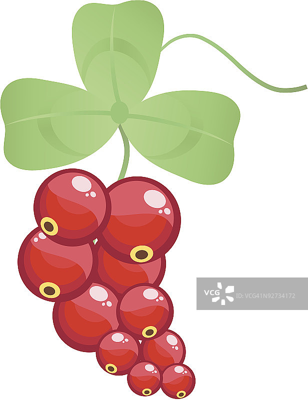 红醋栗图片素材