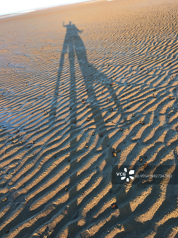 在阴影中图片素材
