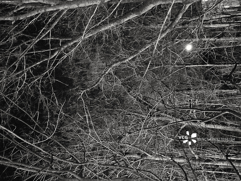 恐怖的月出图片素材