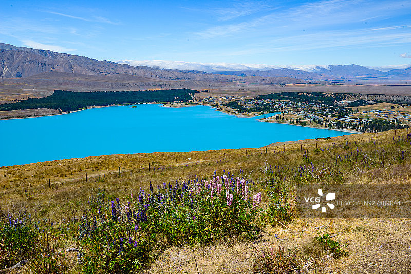 泰卡波湖，新西兰图片素材