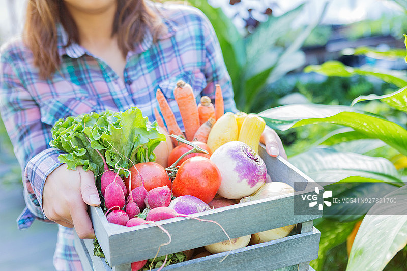 女人捧着一篮新鲜的有机农产品图片素材