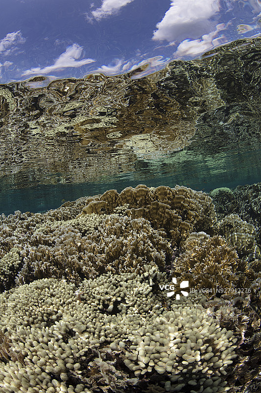 科迪莉亚沙洲硬珊瑚群俯瞰图，海湾群岛图片素材