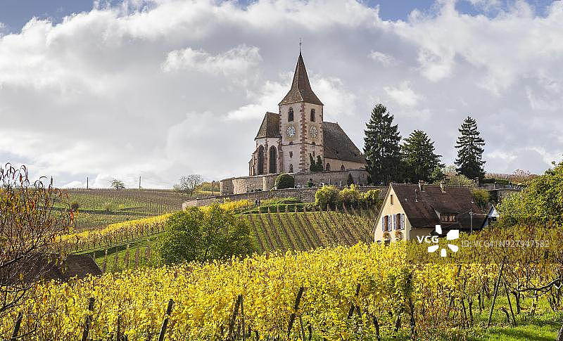 法国阿尔萨斯霍纳维尔秋日葡萄园与教堂图片素材