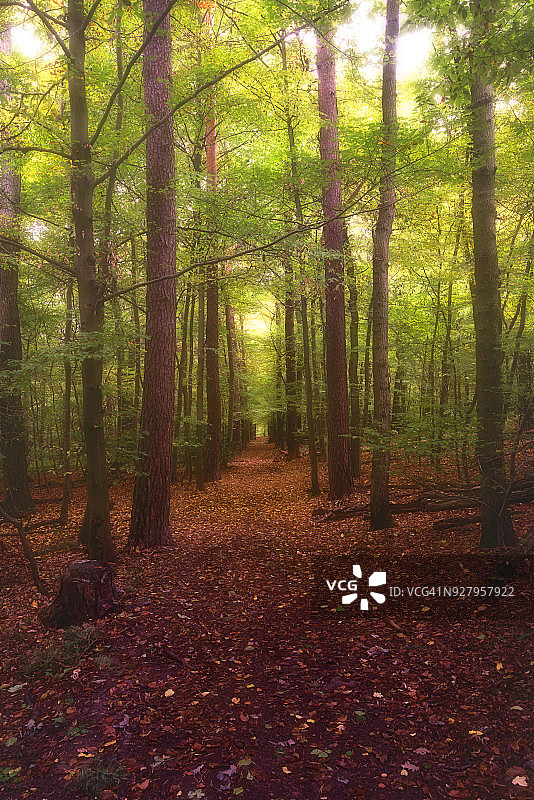 德国波恩图片素材