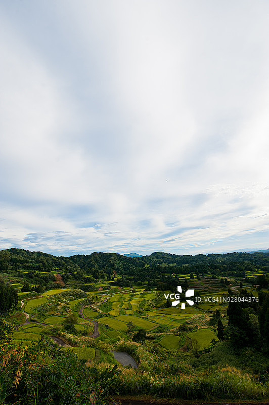 日本十日町市的梯田图片素材