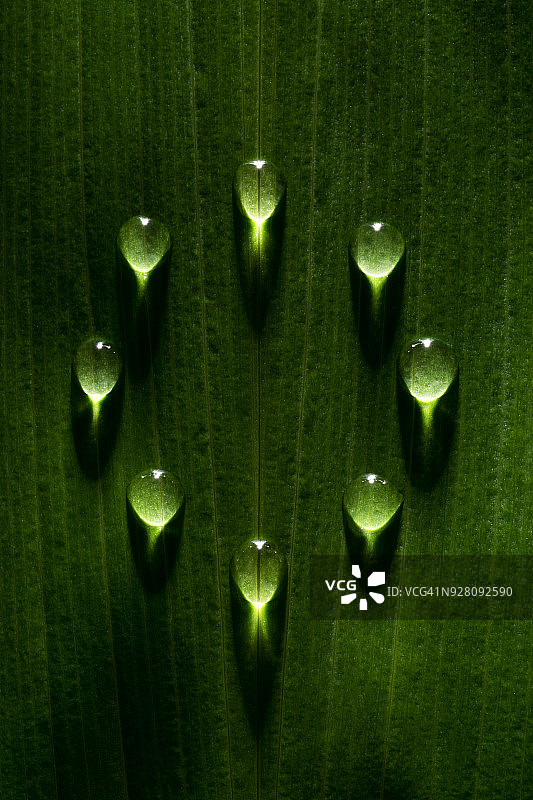 深绿色树叶上的露珠圆形框架图片素材