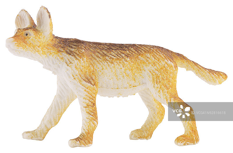 白色背景下的动物特写镜头图片素材