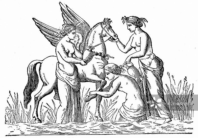 仙女照顾飞马珀伽索斯图片素材