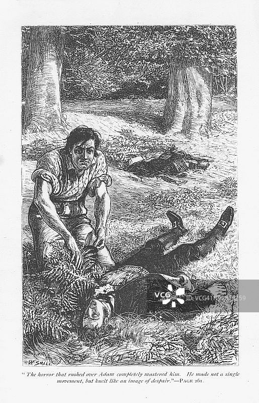 《亚当·比德》故事插画图片素材