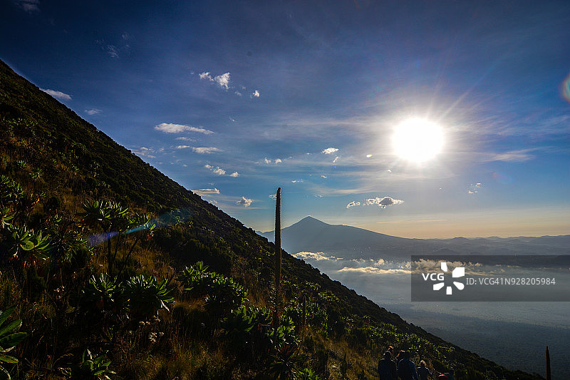 尼拉贡戈火山上的植被图片素材