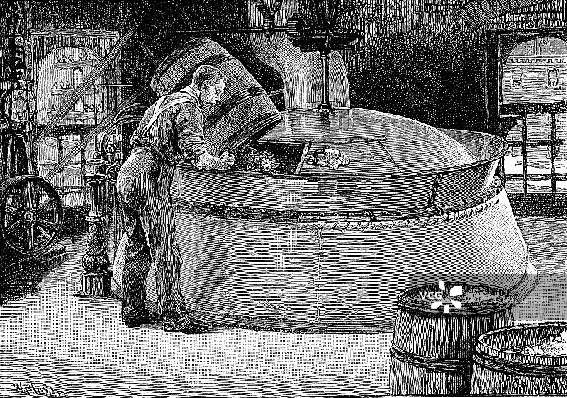 男人向啤酒桶中添加啤酒花图片素材