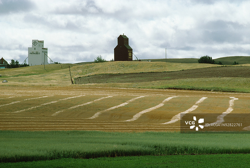 农田上的谷仓与作物图片素材