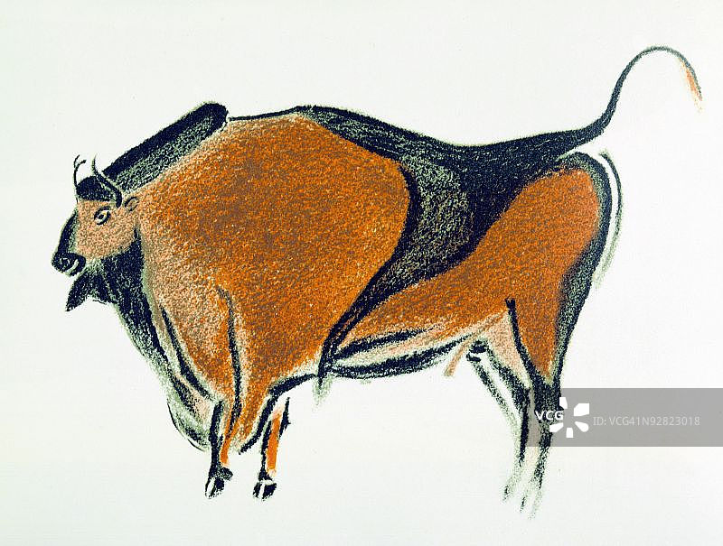 西班牙北部阿尔塔米拉洞穴的美洲野牛旧石器时代壁画图片素材