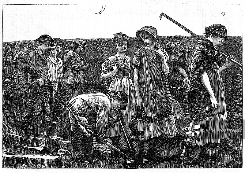 农田里的童工图片素材