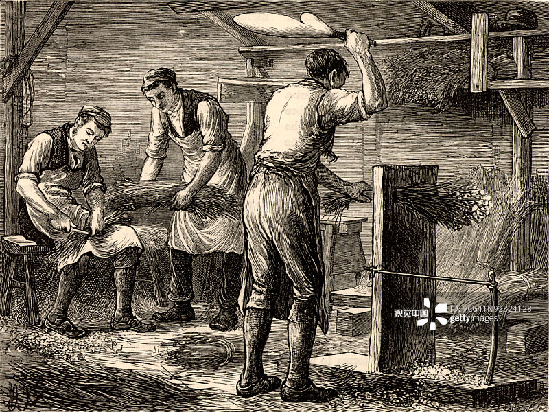 加工亚麻茎秆的男人图片素材