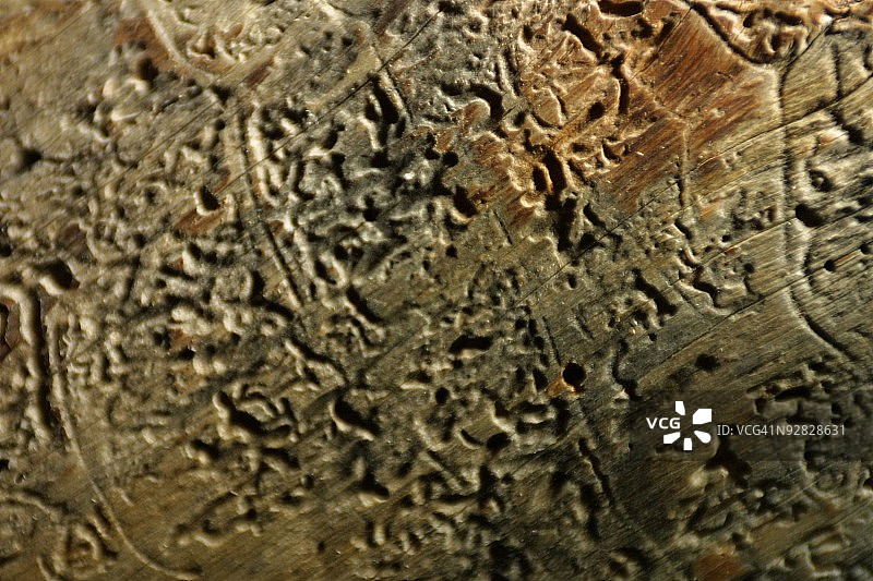 风化墙全幅拍摄图片素材