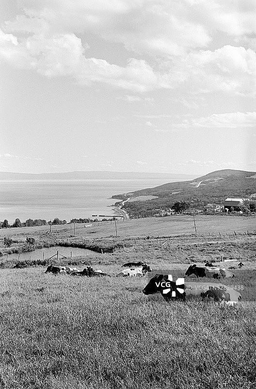 农业田顶天景观图片素材