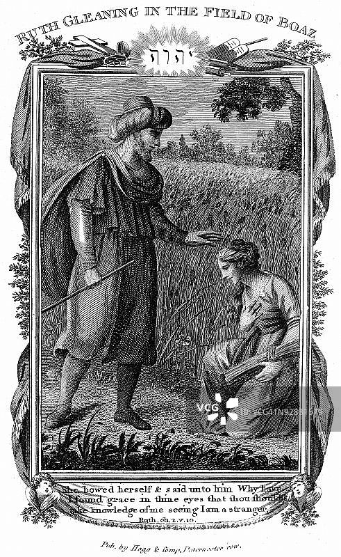 玉米地里的路得和波阿斯图片素材