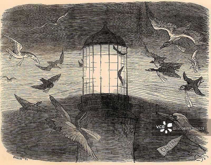 埃迪斯通灯塔鸟类迁徙社论漫画图片素材