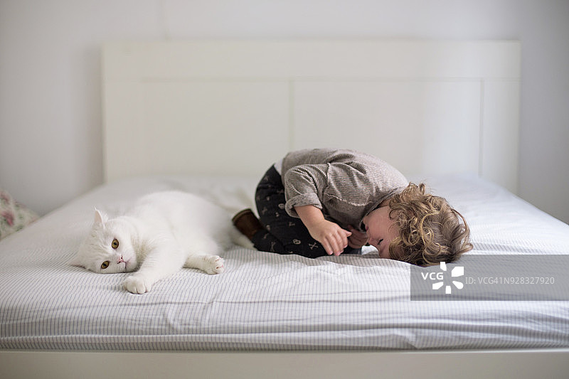 幼儿与猫在床上图片素材