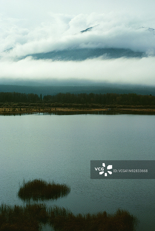 加拿大艾伯塔省朱砂湖沿岸的树木图片素材