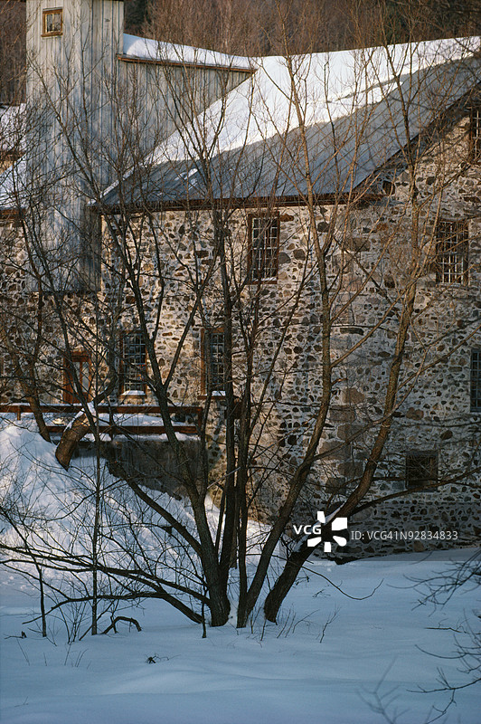 加拿大冬季的乡村房屋与光秃的树木图片素材