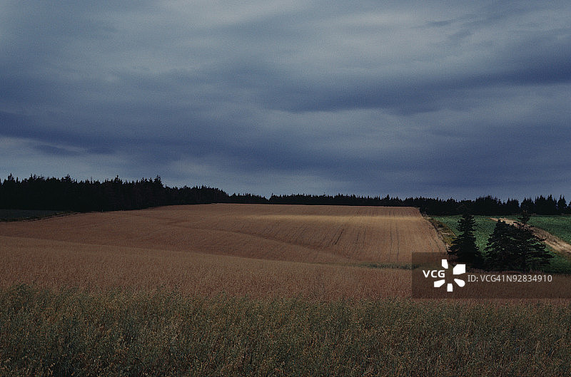 阴天下的加拿大农田图片素材