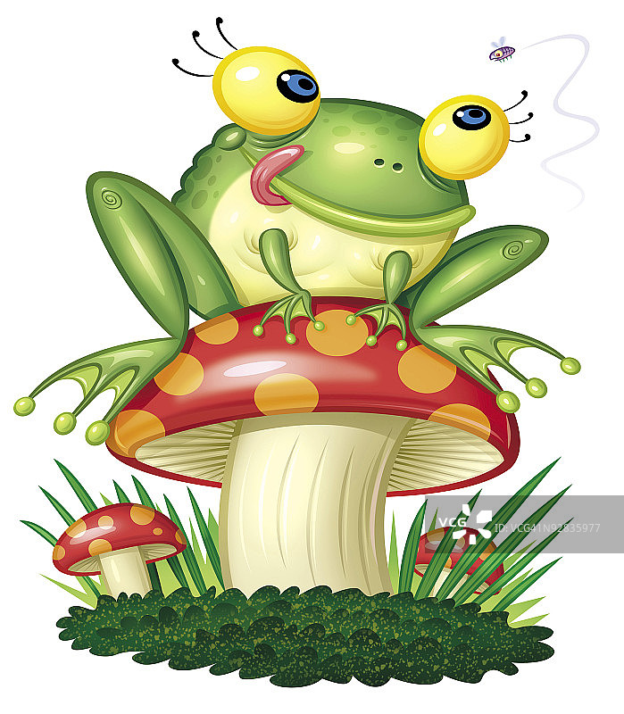 蟾蜍坐在蘑菇上舔嘴唇图片素材