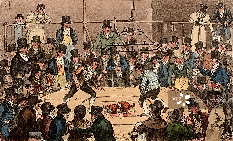 人群观看斗鸡图片素材