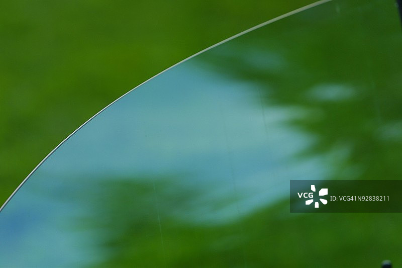 湿植物特写图片素材