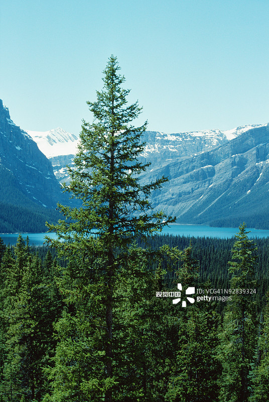 加拿大阿尔伯塔的赫克托湖图片素材