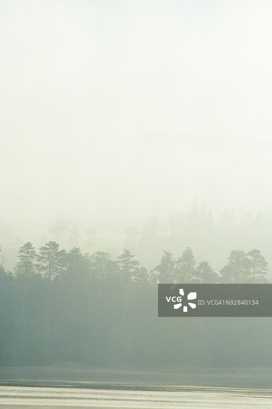 加拿大查尔沃伊的神秘雾霭景观图片素材