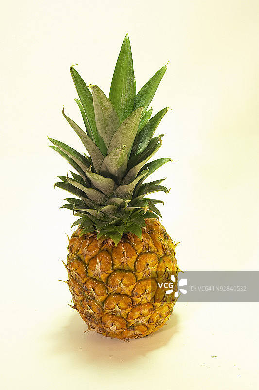 白底菠萝特写镜头图片素材