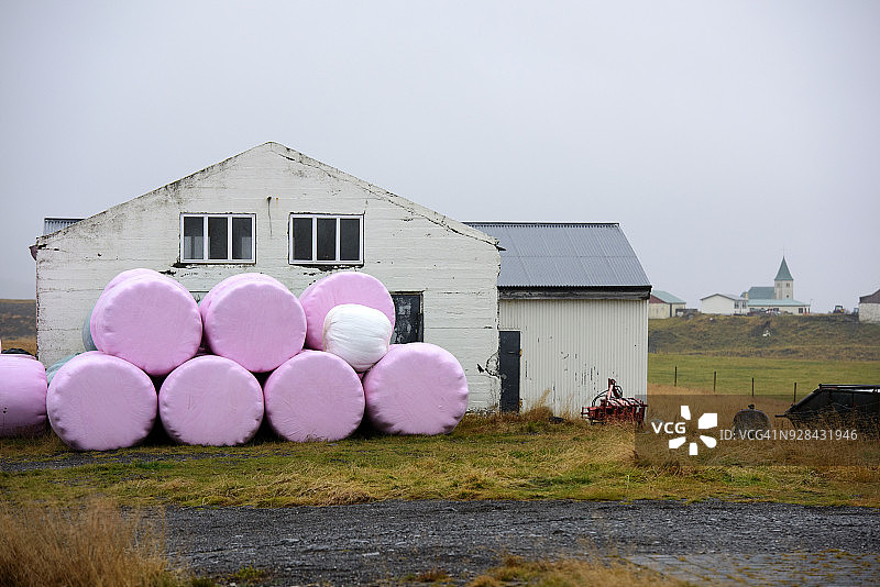 冰岛斯奈山半岛霍尔特的玫瑰色干草捆图片素材