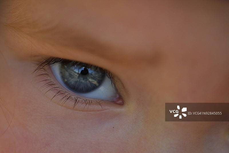 男孩的特写肖像图片素材