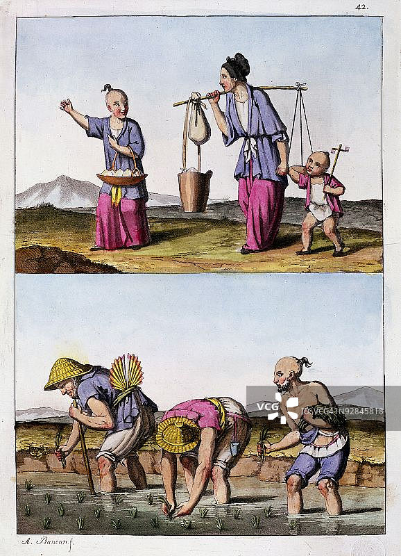 中国农民插秧场景图片素材